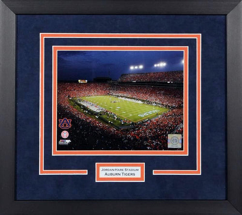 Auburn Tigers Jordan-Hare Stadium 8x10 Framed Photograph