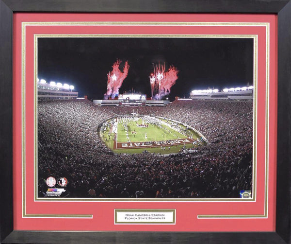 Florida State Seminoles Doak Campbell Stadium 16x20 Framed Photograph - Fireworks