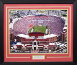 Florida State Seminoles Doak Campbell Stadium 16x20 Framed Photograph - Aerial