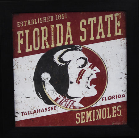 EJ Manuel Autographed Florida State Seminoles #3 Framed Jersey