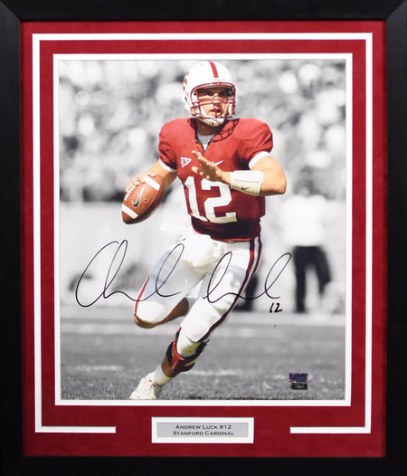 Stanford Cardinal Campus 8x10 Framed Photograph