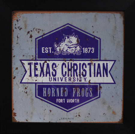 Trevone Boykin Autographed TCU Horned Frogs 16x20 Framed Photograph (vs Texas)