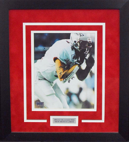New Mexico Lobos The Pit 8x10 Framed Photograph